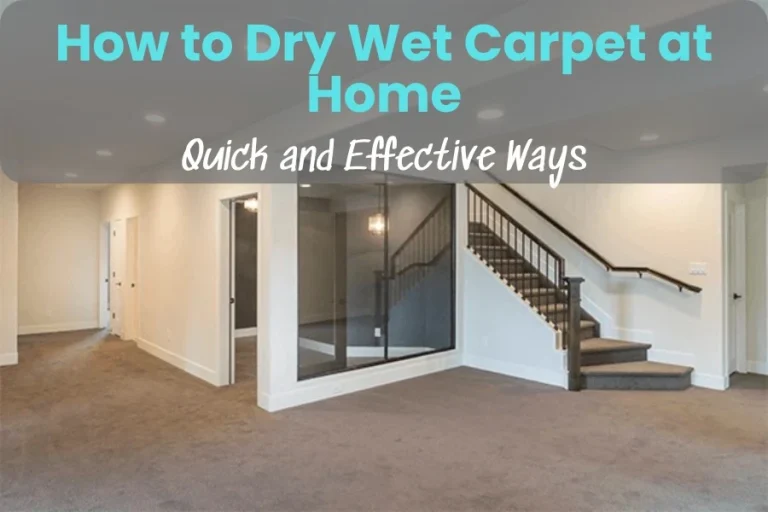 How to Dry Wet Carpet at Home