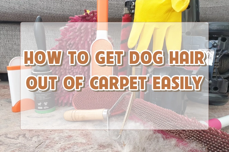 How To Get Dog Hair Out Of Carpet Easily