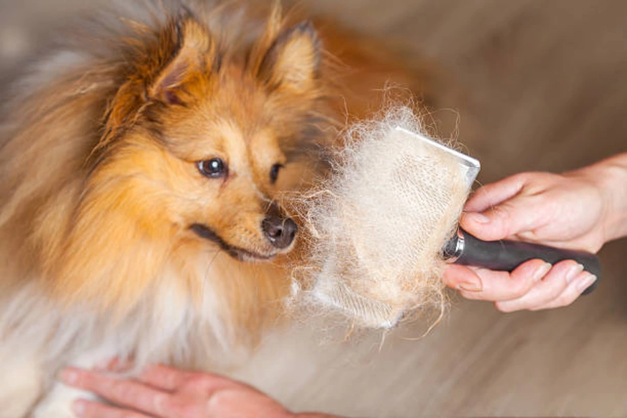 Pet hair can retain odors and allergens