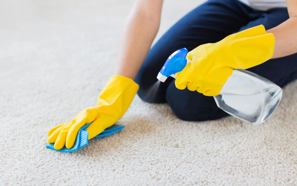 Spray a mixture on the odorous area of your carpet